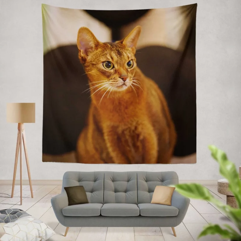 Captivating Gaze Mysterious Cat Stare Wall Hanging Tapestry