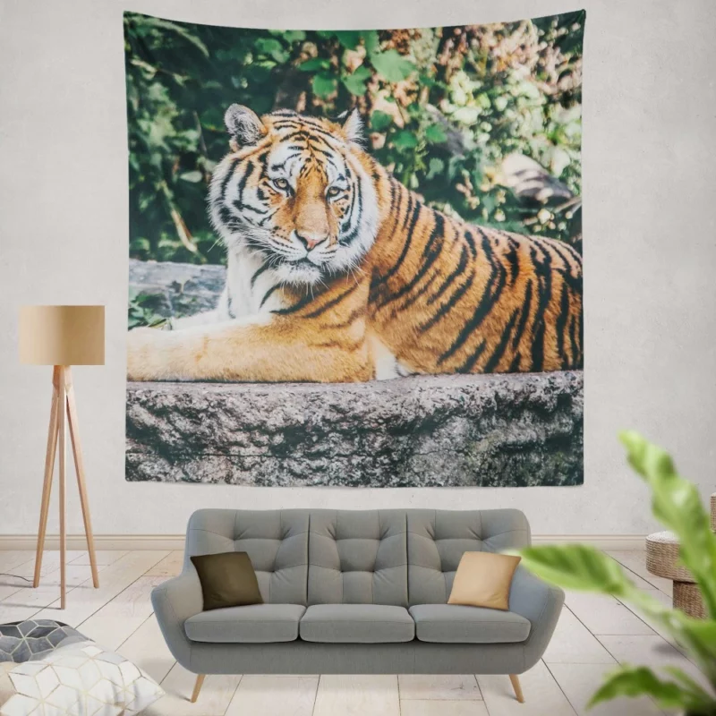 Captivating Tiger Gaze Enigmatic Intrigue Wall Hanging Tapestry