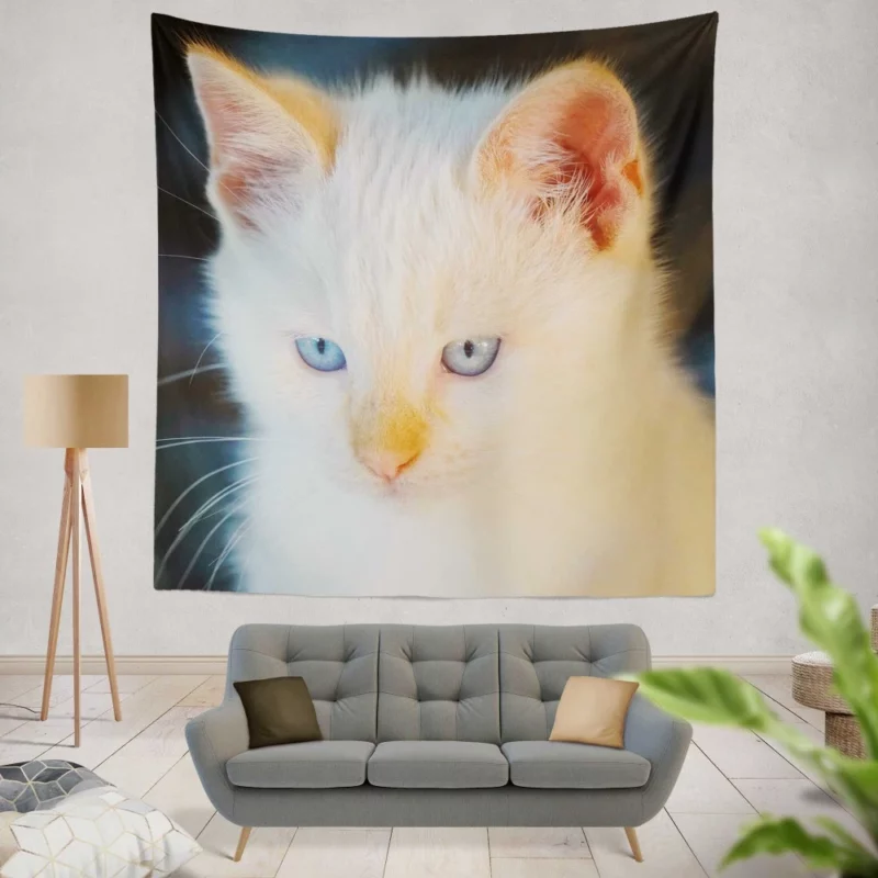 Cat Baby Gaze Feline Innocence Wall Hanging Tapestry