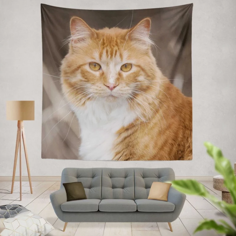 Cat Baby Gaze Innocent Charm Wall Hanging Tapestry