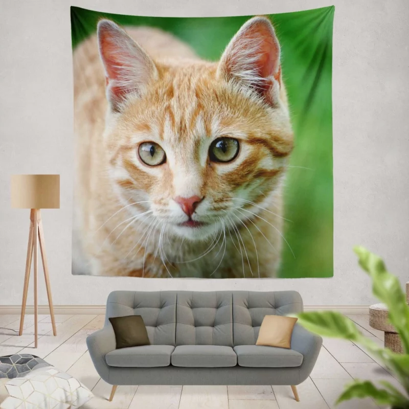 Cat Close-Up Feline Elegance Wall Hanging Tapestry