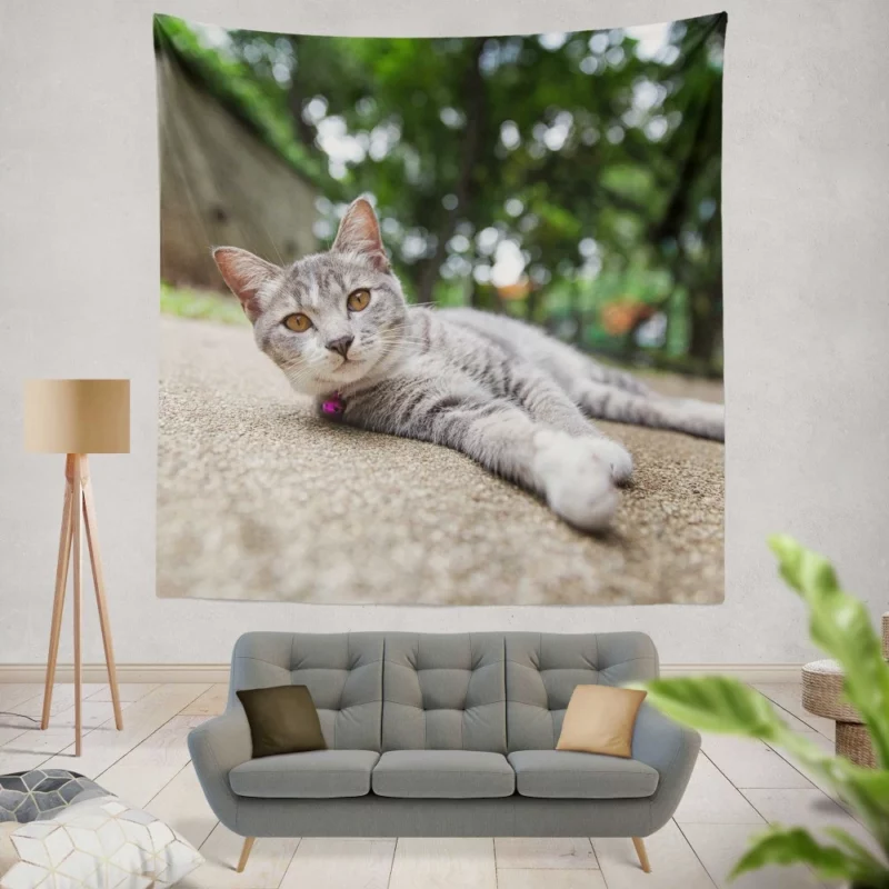 Cat Contented Rest Peaceful Pause Wall Hanging Tapestry