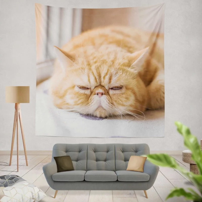 Cat Curious Gaze Wall Hanging Tapestry