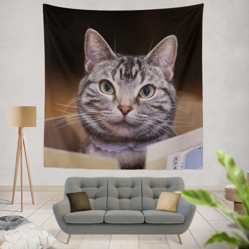 Cat Curious Stare Wall Hanging Tapestry