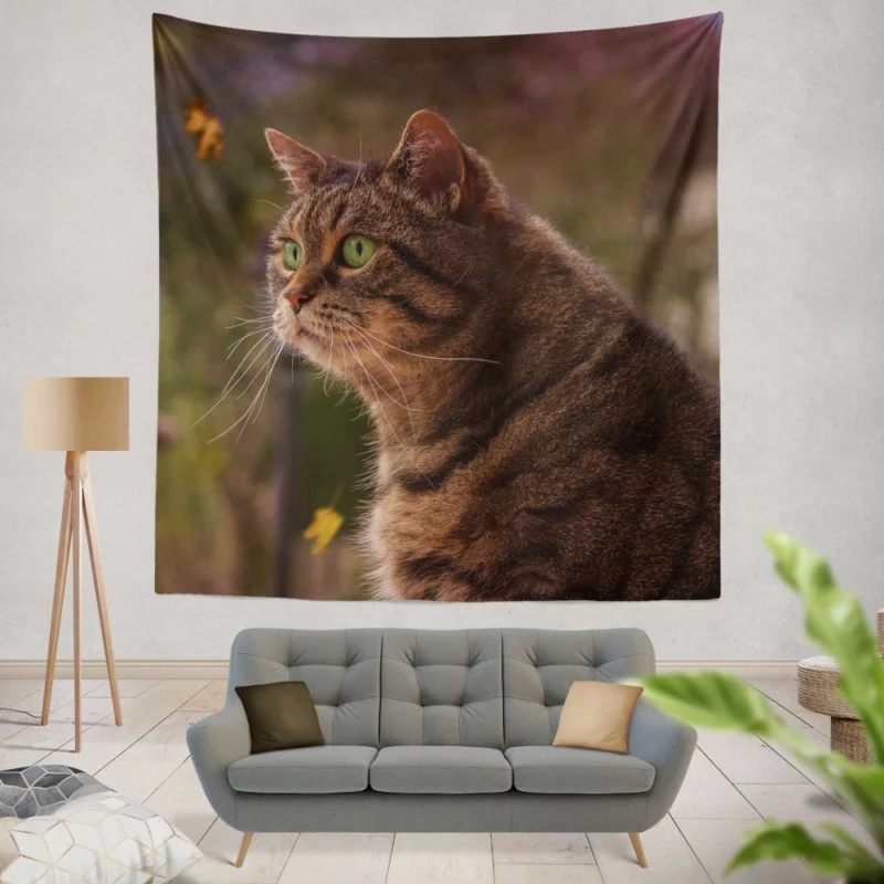 Cat Depth of Field Stare Feline Wonder Wall Hanging Tapestry