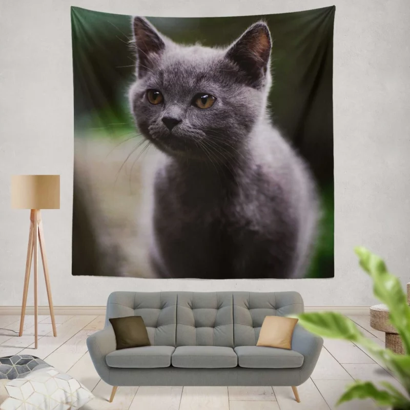 Cat Depth of Field Wall Hanging Tapestry