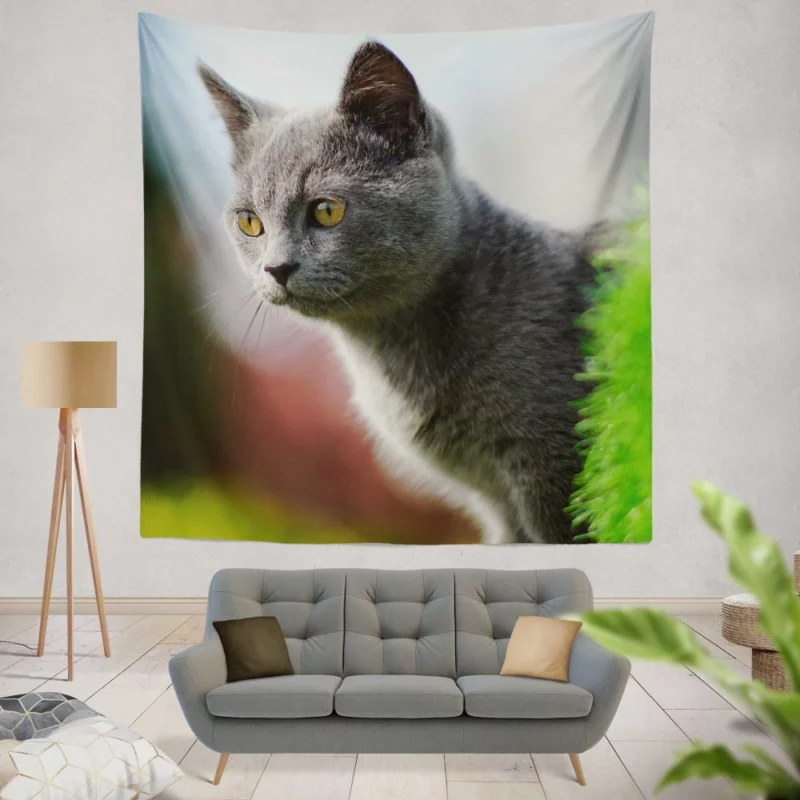 Cat Dreamy Gaze Wall Hanging Tapestry