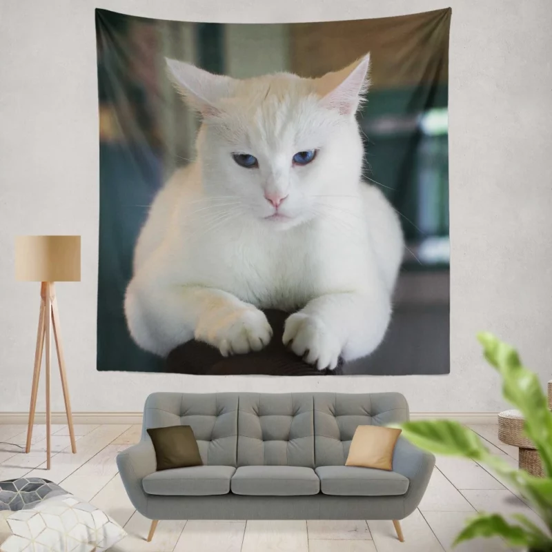 Cat Elegant Gaze Mysterious Allure Wall Hanging Tapestry