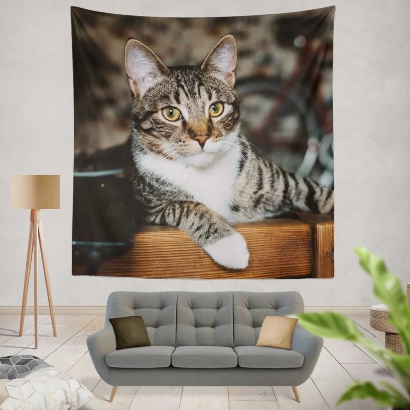 Cat Elegant Gaze Mysterious Charm Wall Hanging Tapestry