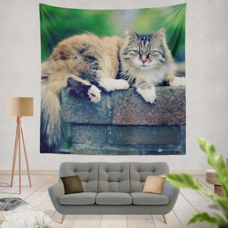 Cat Enigmatic Gaze Feline Intrigue Wall Hanging Tapestry