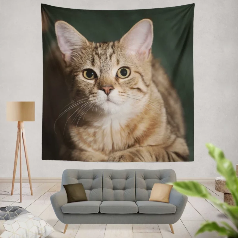 Cat Enigmatic Gaze Wall Hanging Tapestry