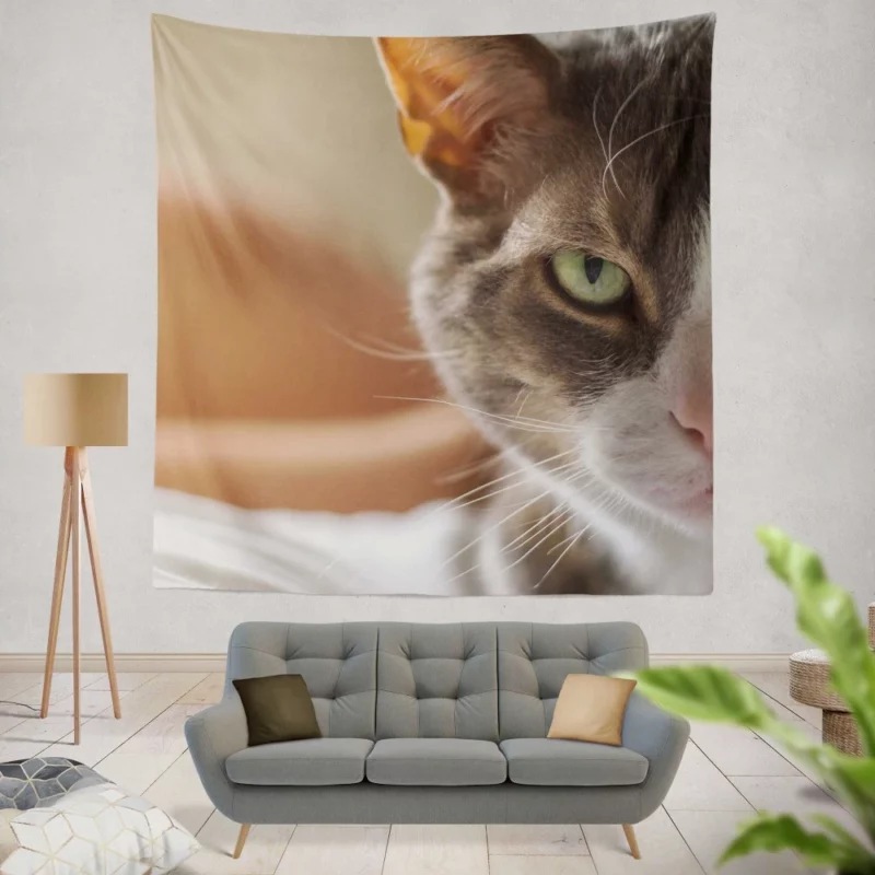 Cat Enigmatic Stare Feline Fascination Wall Hanging Tapestry