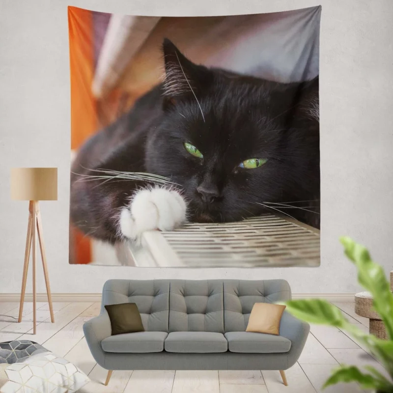 Cat Enigmatic Stare Feline Mystery Wall Hanging Tapestry