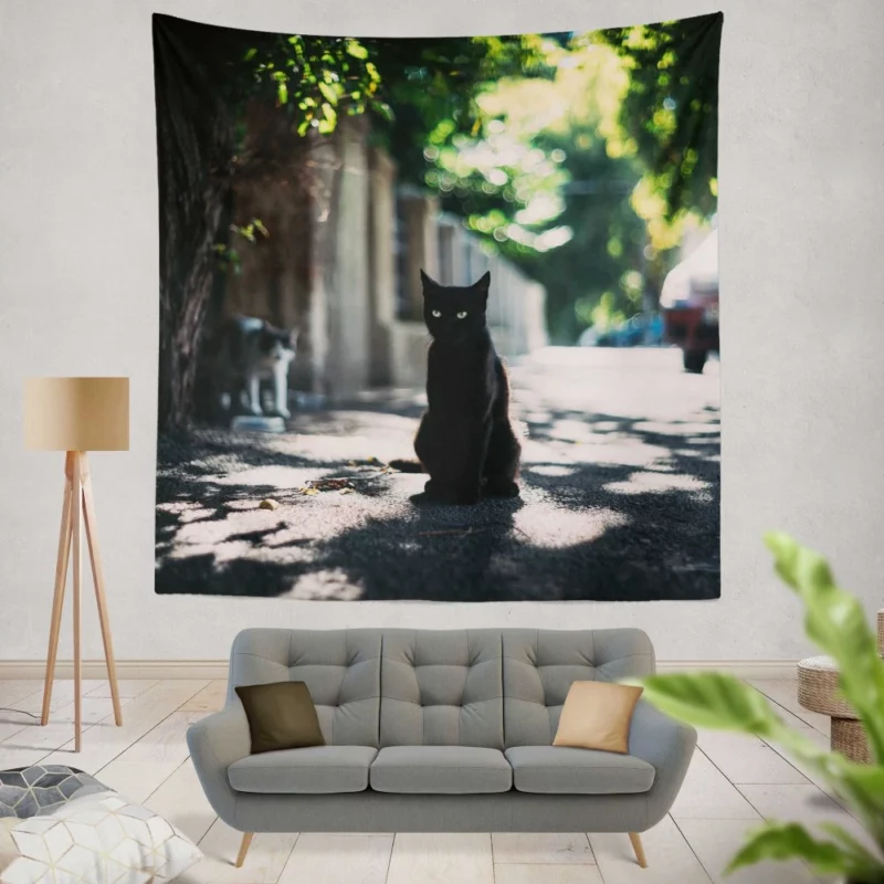 Cat Enigmatic Stare Sunny Intrigue Wall Hanging Tapestry