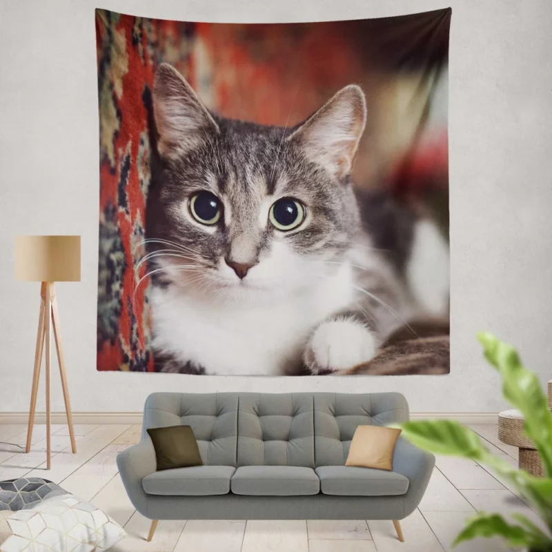 Cat Expressive Gaze Feline Intrigue Wall Hanging Tapestry