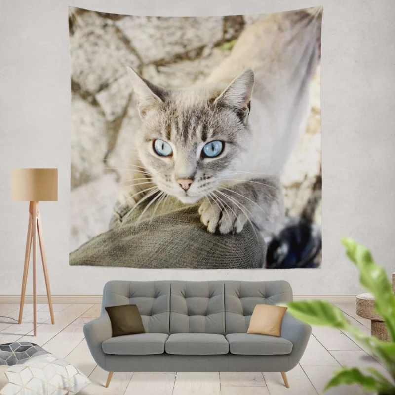 Cat Gaze Whiskered Exotic Wall Hanging Tapestry