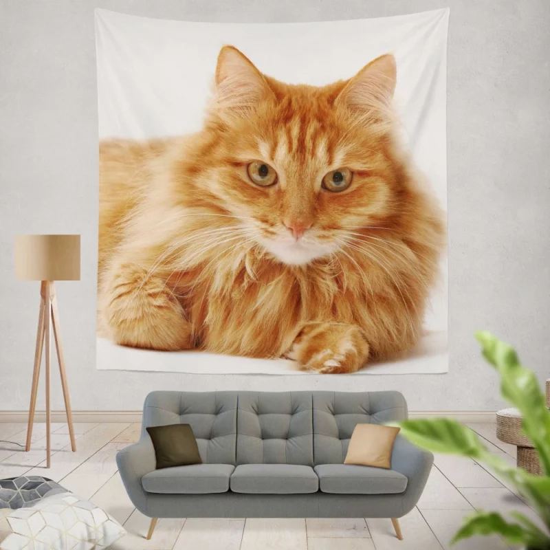 Cat Gaze Whiskered Intrigue Wall Hanging Tapestry