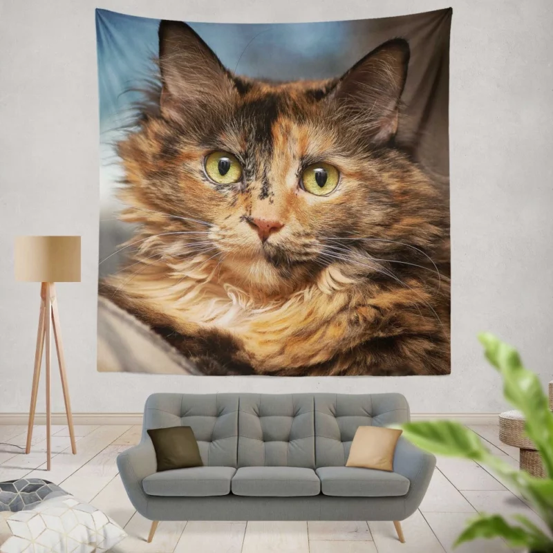 Cat Intense Stare Close-Up Beauty Wall Hanging Tapestry