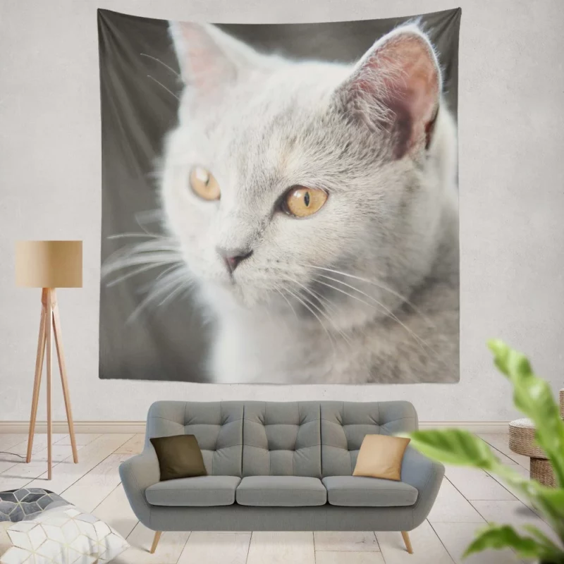 Cat Intriguing Gaze Mysterious Charisma Wall Hanging Tapestry