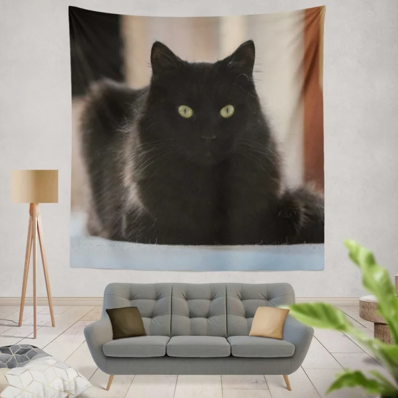 Cat Intriguing Presence Feline Majesty Wall Hanging Tapestry