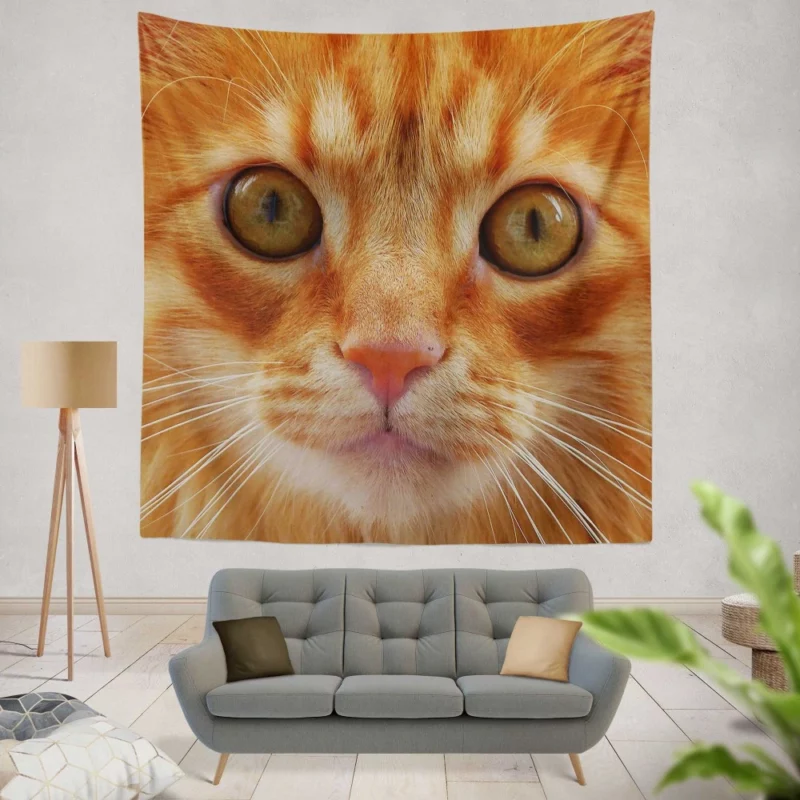 Cat Intriguing Stare Feline Curiosity Wall Hanging Tapestry