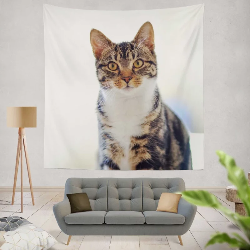 Cat Introspective Stare Silent Wisdom Wall Hanging Tapestry