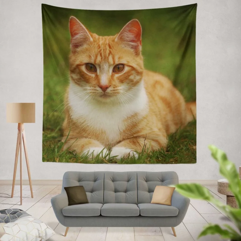 Cat Mesmerizing Eyes Enchanting Stare Wall Hanging Tapestry