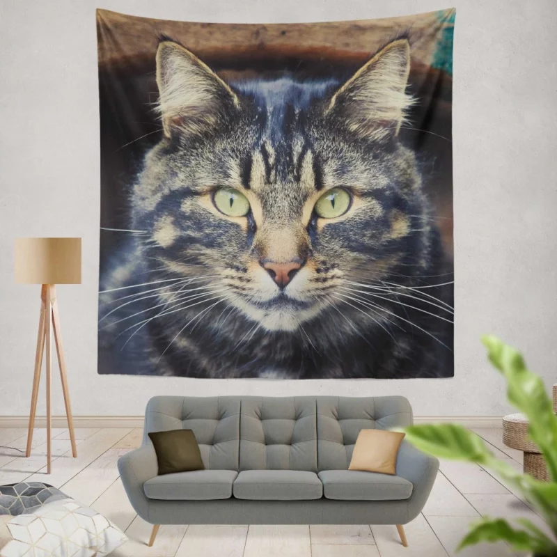 Cat Mesmerizing Stare Feline Enigma Wall Hanging Tapestry