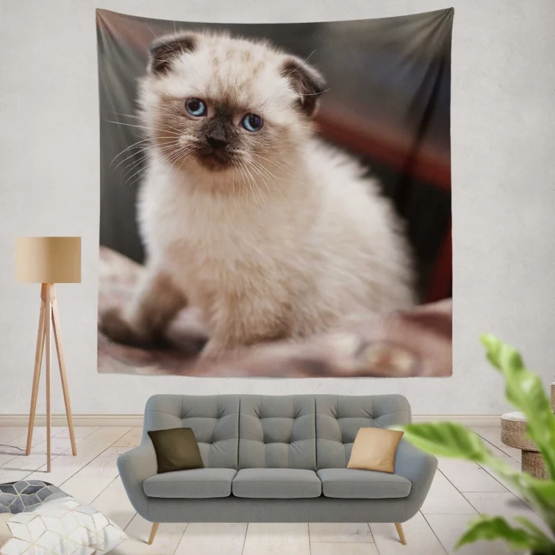 Cat Mysterious Aura Wall Hanging Tapestry