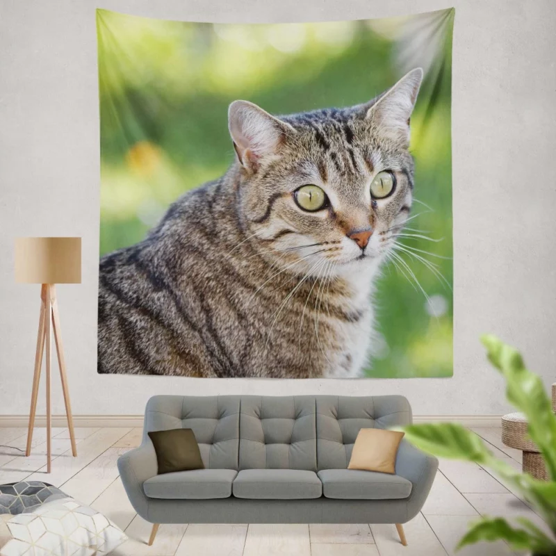 Cat Mysterious Gaze Bokeh Beauty Wall Hanging Tapestry