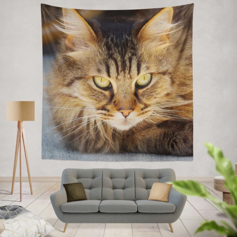 Cat Mysterious Gaze Captivating Eyes Wall Hanging Tapestry