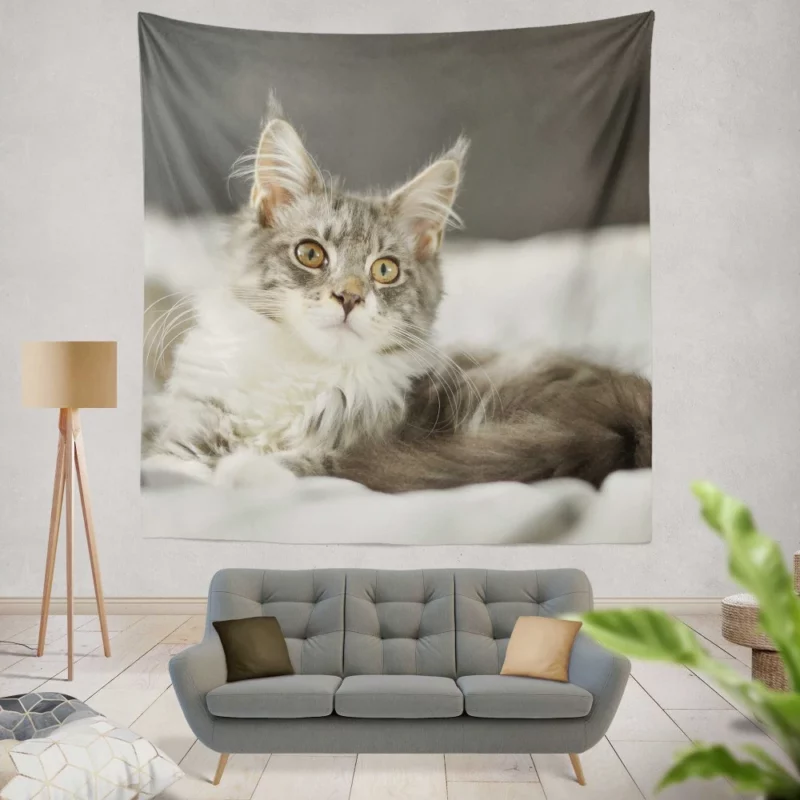 Cat Mysterious Gaze Enigmatic Intrigue Wall Hanging Tapestry