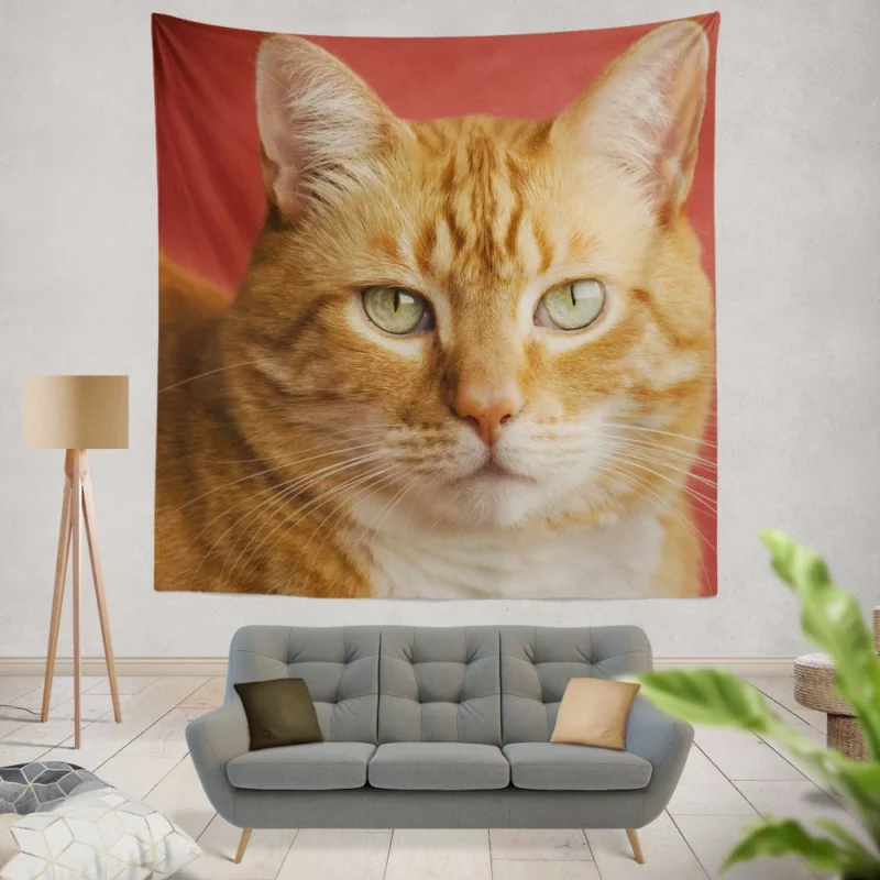 Cat Mysterious Gaze Silent Intrigue Wall Hanging Tapestry