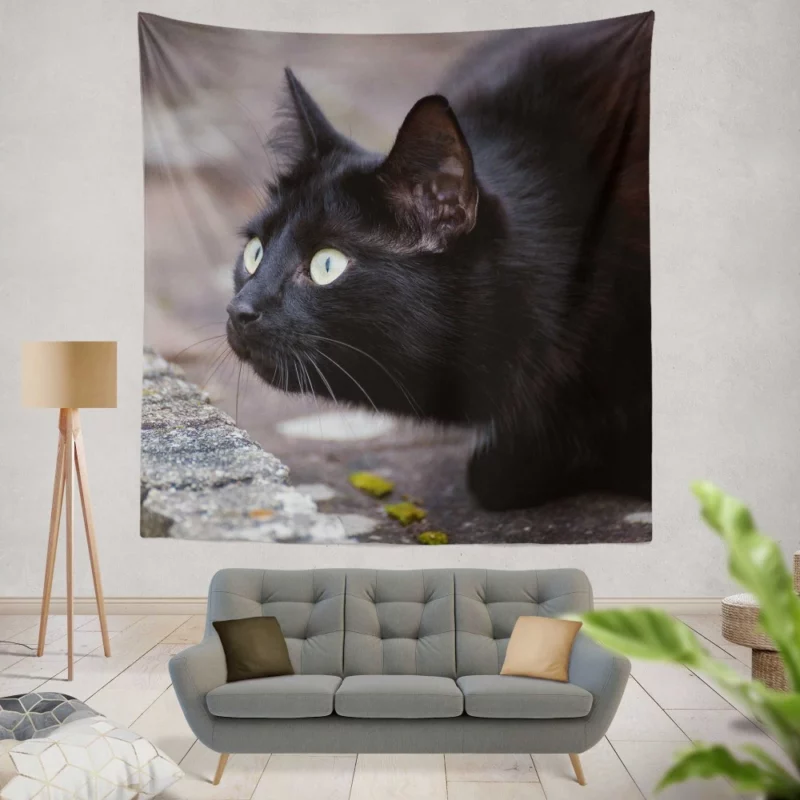 Cat Mysterious Gaze Wall Hanging Tapestry