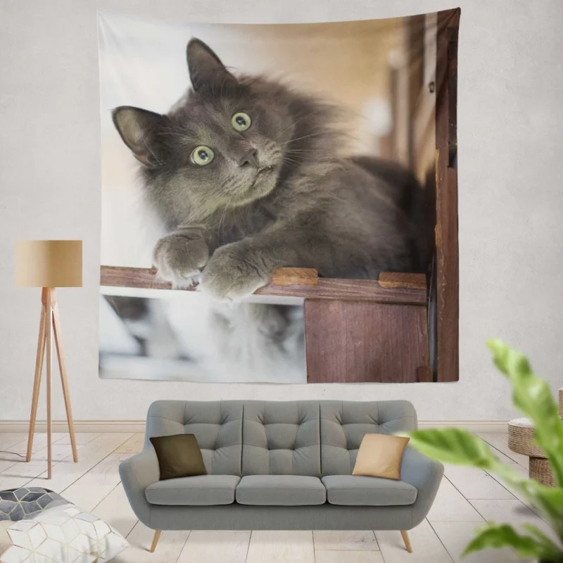 Cat Mysterious Presence Feline Intrigue Wall Hanging Tapestry