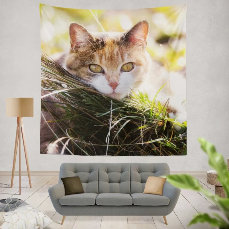 Cat Mysterious Stare Enigmatic Allure Wall Hanging Tapestry