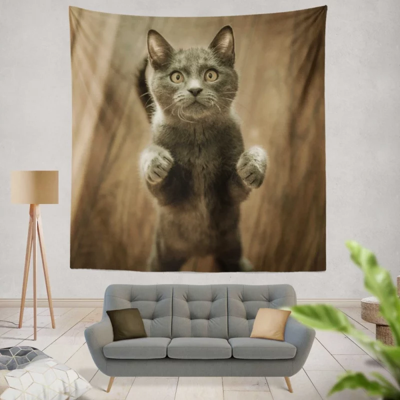 Cat Mysterious Stare Enigmatic Gaze Wall Hanging Tapestry