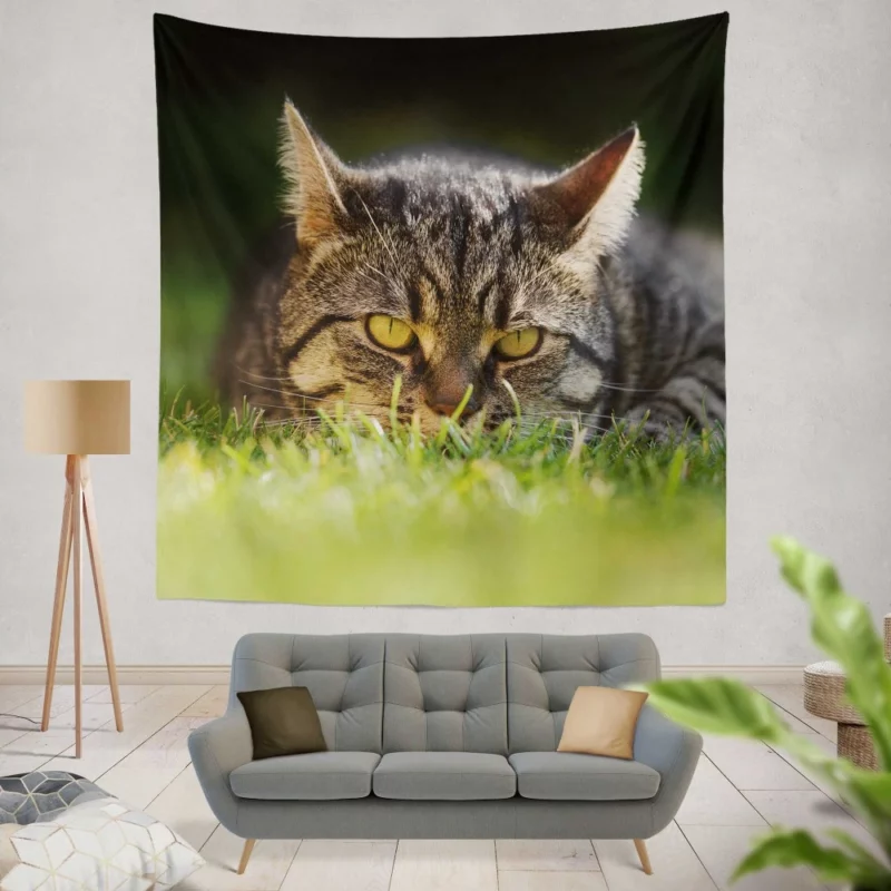 Cat Mysterious Stare Feline Intrigue Wall Hanging Tapestry