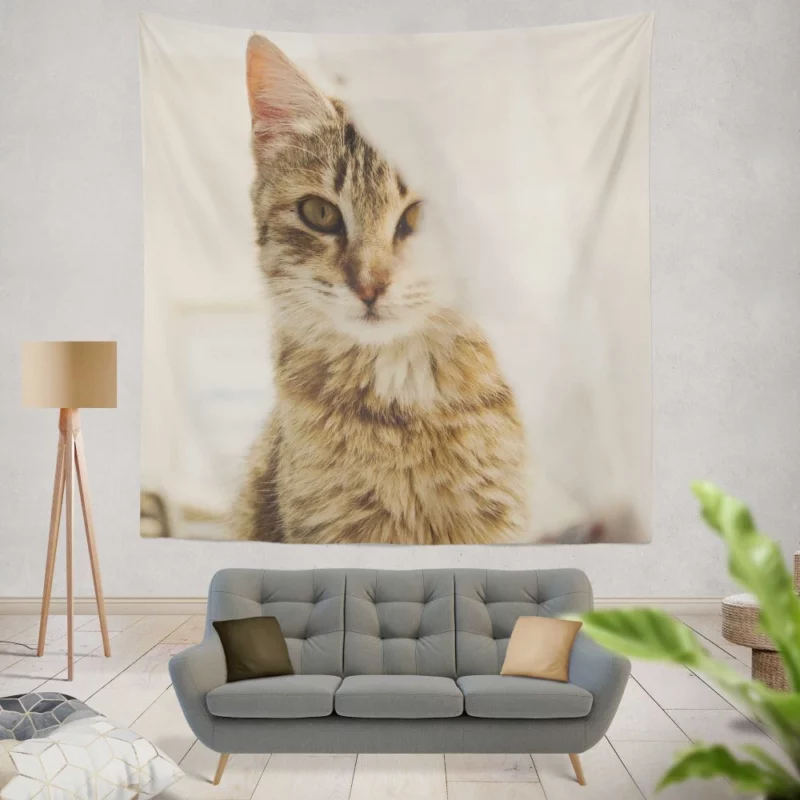 Cat Mysterious Stare Silent Elegance Wall Hanging Tapestry