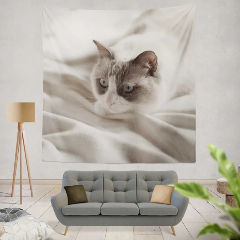 Cat Playful Demeanor Wall Hanging Tapestry