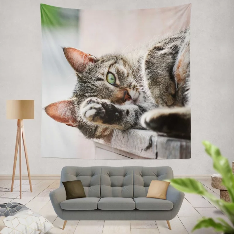 Cat Stare Amidst Restful Serenity Wall Hanging Tapestry