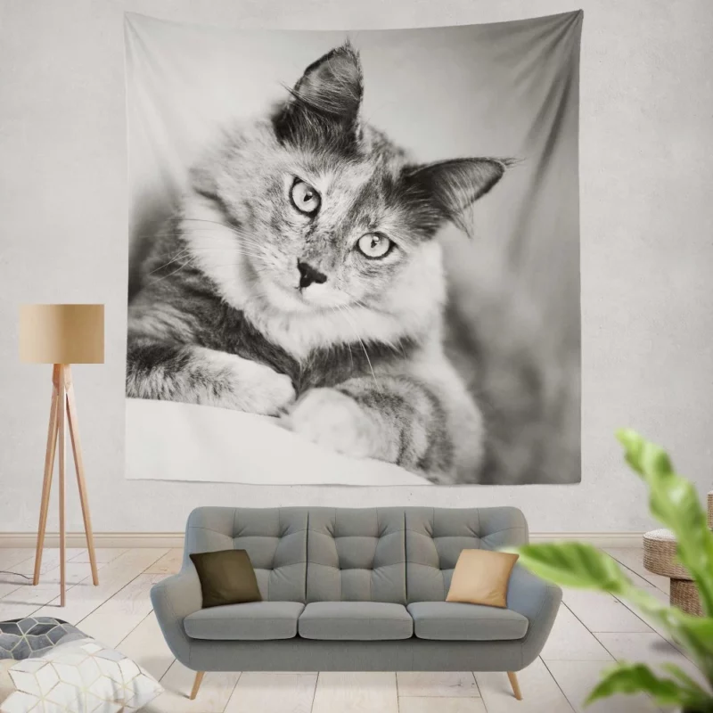 Cat Striking Black & White Beauty Wall Hanging Tapestry