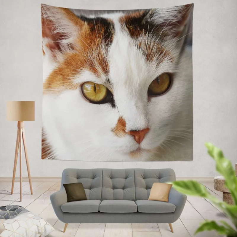 Cat Thoughtful Stare Mysterious Intrigue Wall Hanging Tapestry