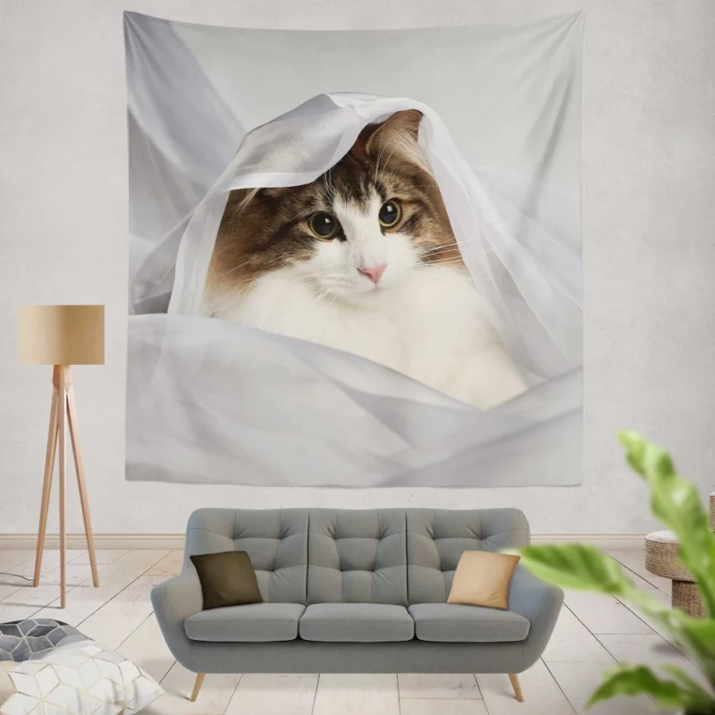 Cat Veiled Mystery Intriguing Elegance Wall Hanging Tapestry