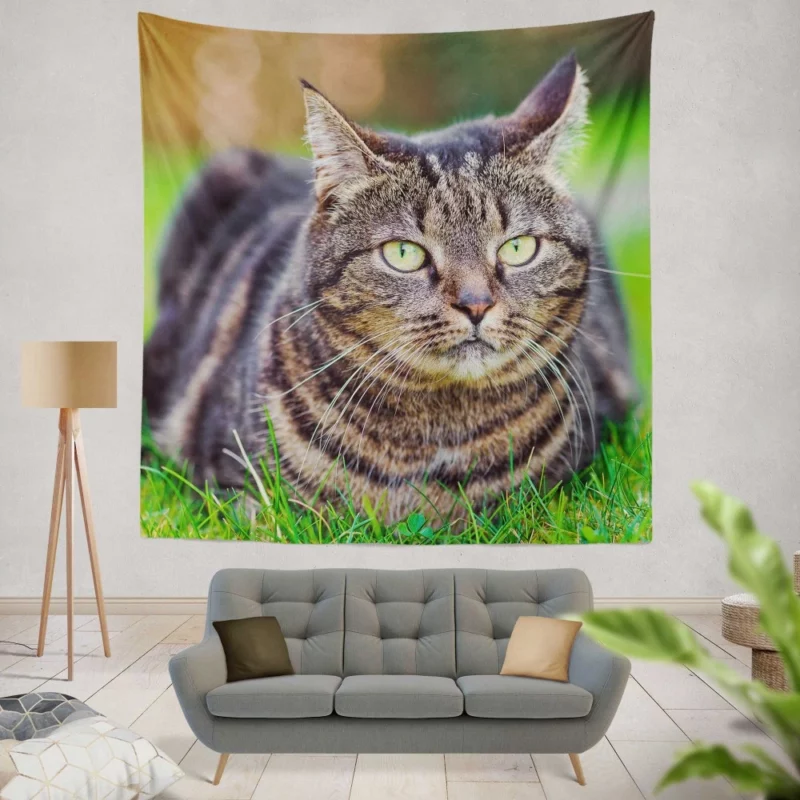 Cat Whiskers Feline Charm Wall Hanging Tapestry