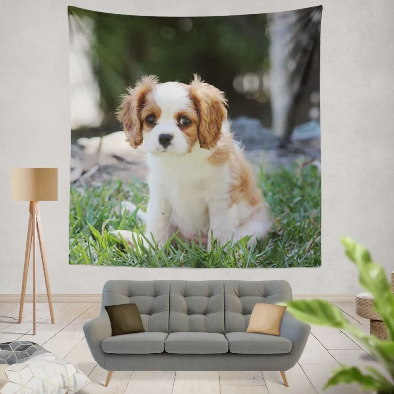 Cavalier Spaniel Puppy Regal Play Wall Hanging Tapestry