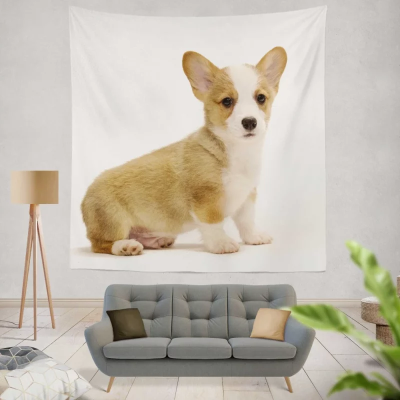 Charming Corgi Playful Canine Beauty Wall Hanging Tapestry