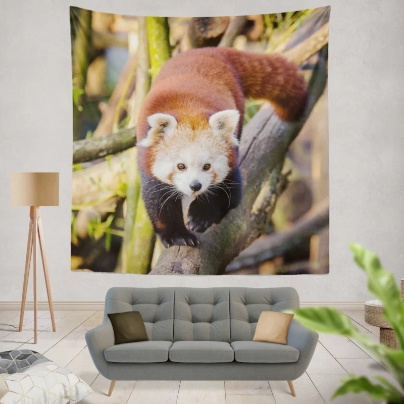 Charming Red Panda Wall Hanging Tapestry