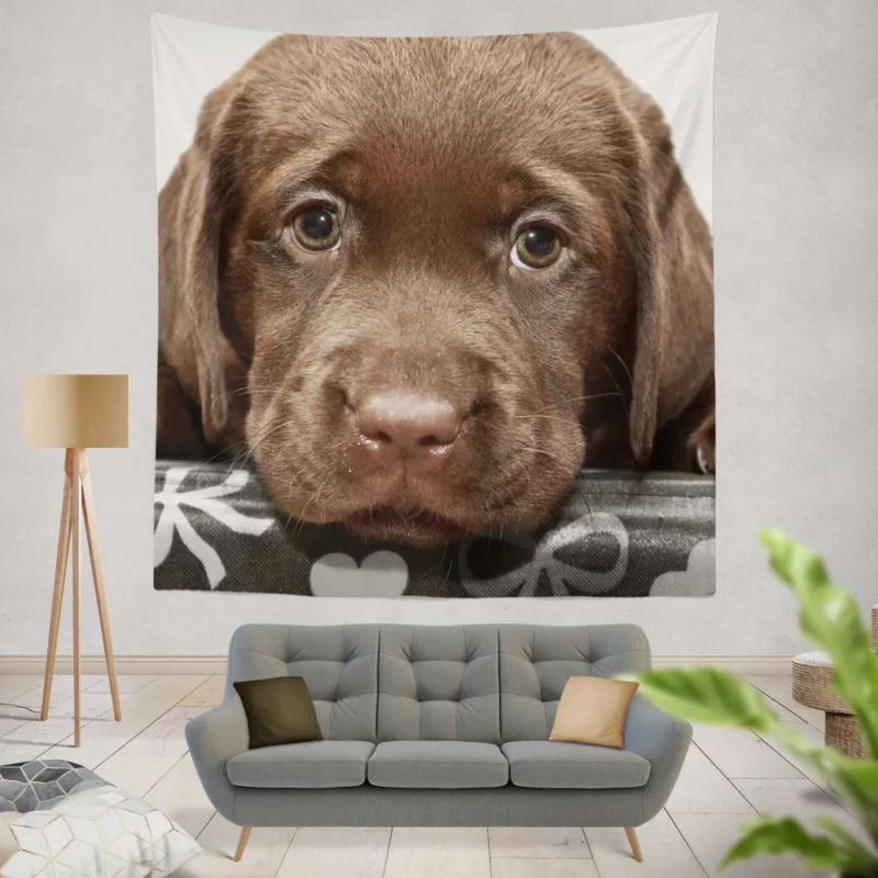 Chesapeake Bay Retriever Puppy Innocence Wall Hanging Tapestry