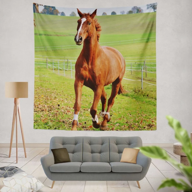 Chestnut Beauty Horse Majestic Stance Wall Hanging Tapestry